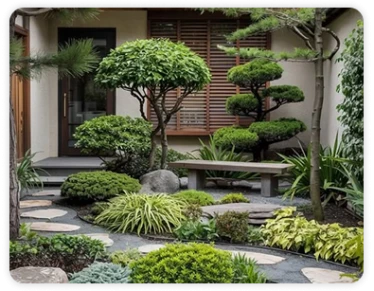 Thi Công Tiểu Cảnh Sân Vườn