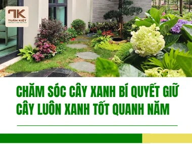 Chăm Sóc Cây Xanh Bí Quyết Giữ Cây Luôn Xanh Tốt Quanh Năm