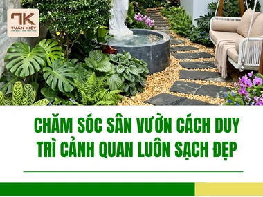 Chăm Sóc Sân Vườn Cách Duy Trì Cảnh Quan Luôn Sạch Đẹp