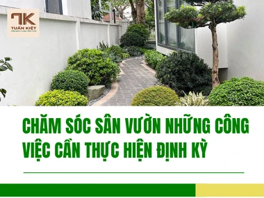 Chăm Sóc Sân Vườn Những Công Việc Cần Thực Hiện Định Kỳ