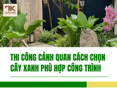 Thi Công Cảnh Quan Cách Chọn Cây Xanh Phù Hợp Công Trình